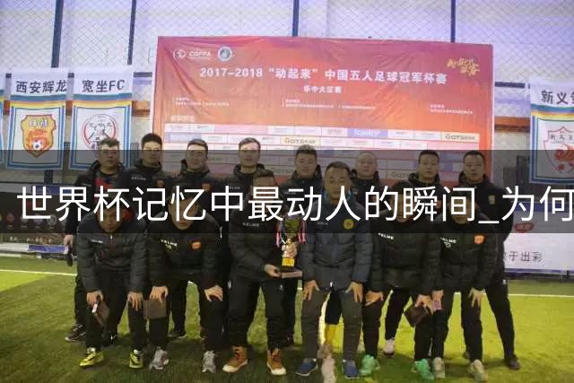 世界杯记忆中最动人的瞬间 为何总是那些未竟的梦想