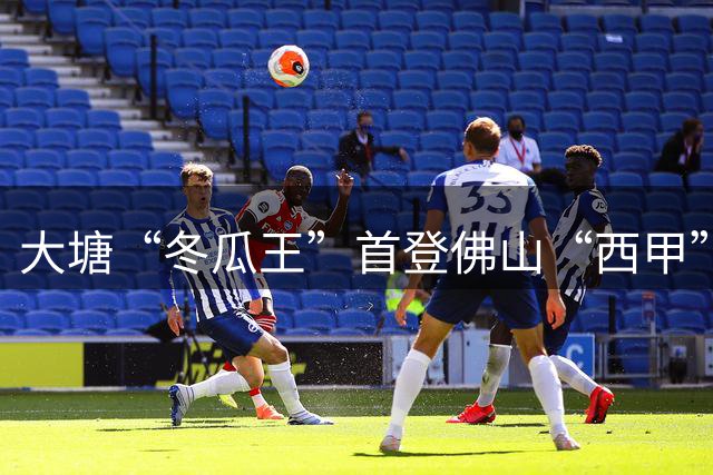 大塘“冬瓜王”首登佛山“西甲” 黑皮冬瓜借足球流量破圈