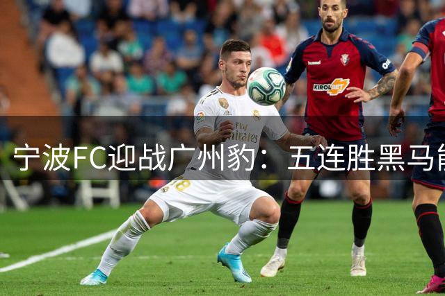 宁波FC迎战广州豹：五连胜黑马能否撼动中甲领头羊？