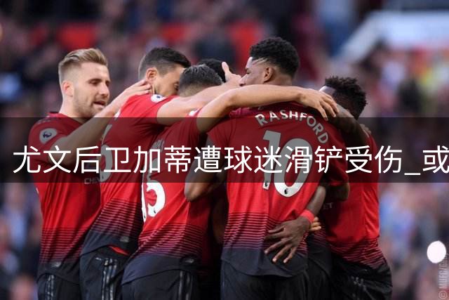 尤文后卫加蒂遭球迷滑铲受伤 或缺战意甲首轮
