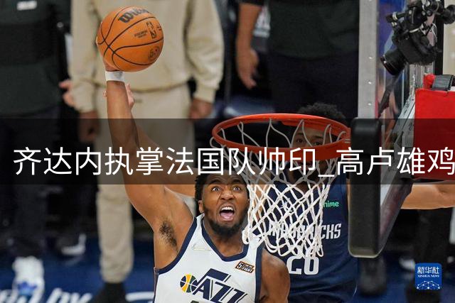 齐达内执掌法国队帅印 高卢雄鸡迎来战术革新时代